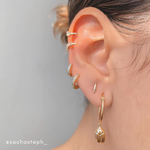 huggie earrings (1878343975010)