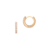 huggie earrings (1878343975010)