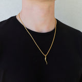Italian Horn Necklace Set