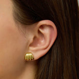 Gold Filled Scallop Earrings