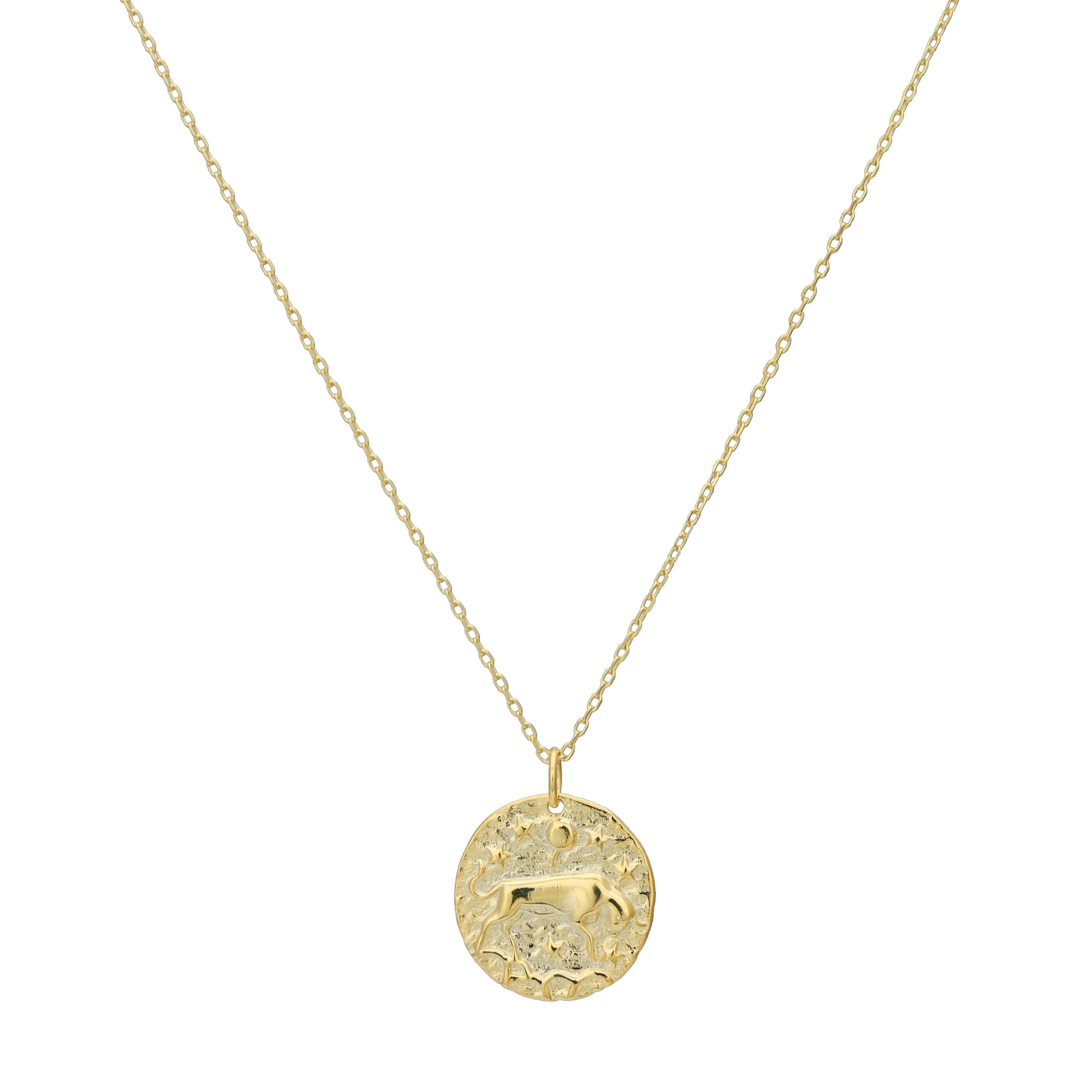 Zodiac Coin Necklace (6109503422630)